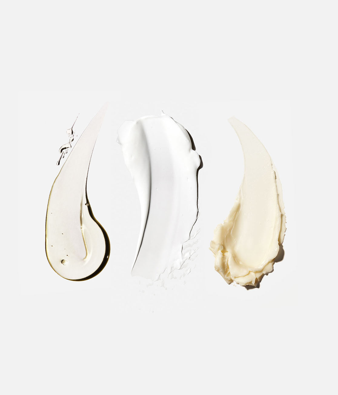 The Body Essentials - Image 6